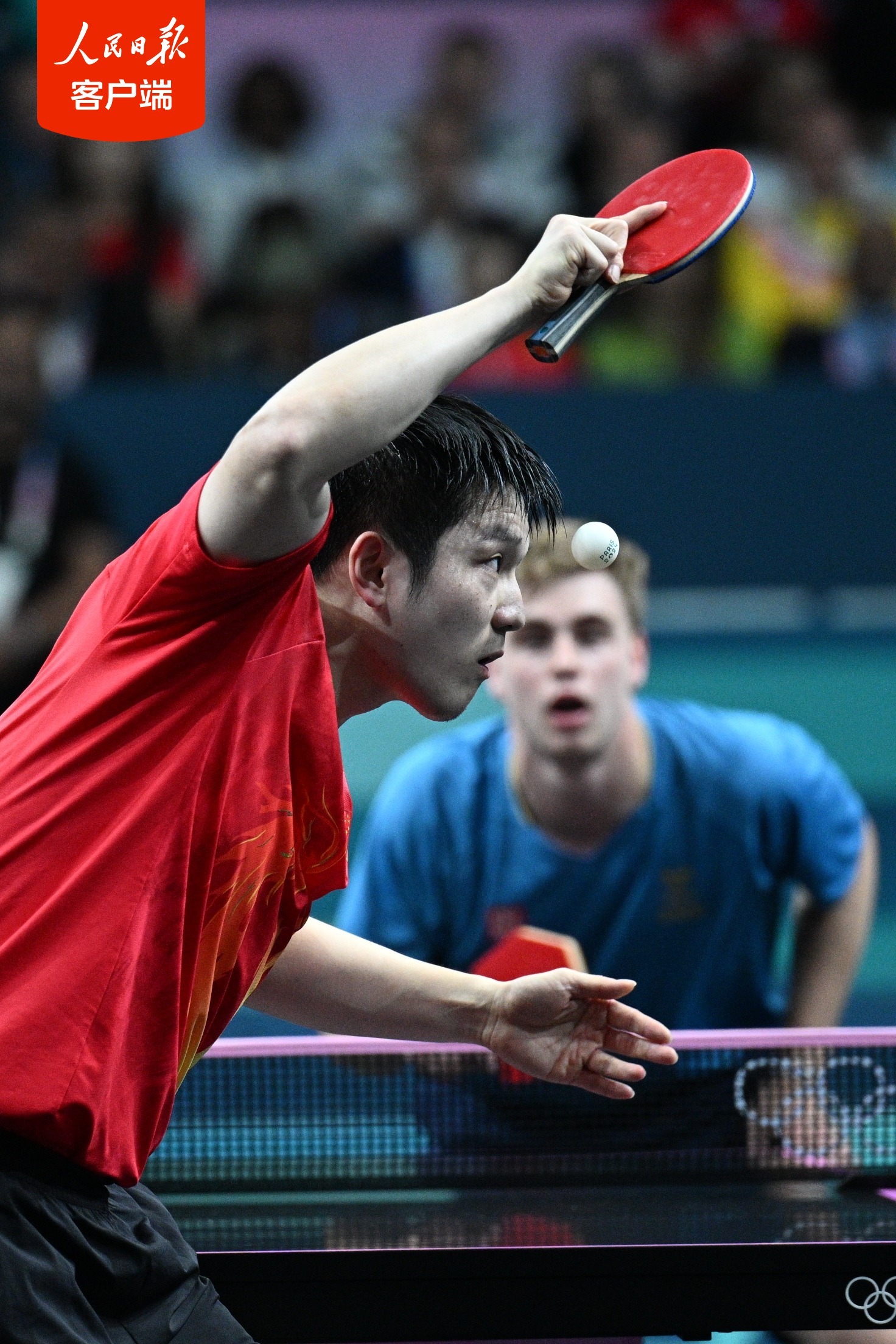 开云体育-葡萄牙队轻取韩国队，樊振东高光表现