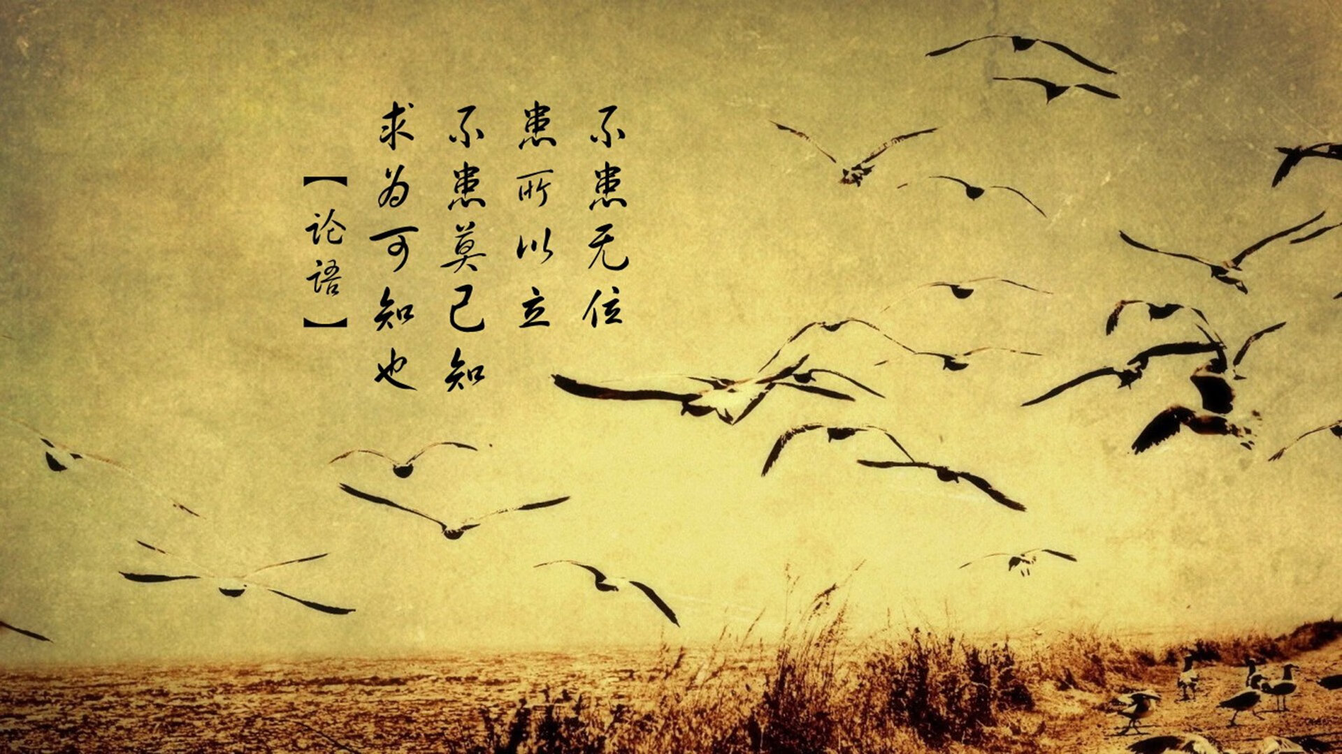 范弗利特式爆发！北京队以北境风暴速胜广东，定义新时代对决