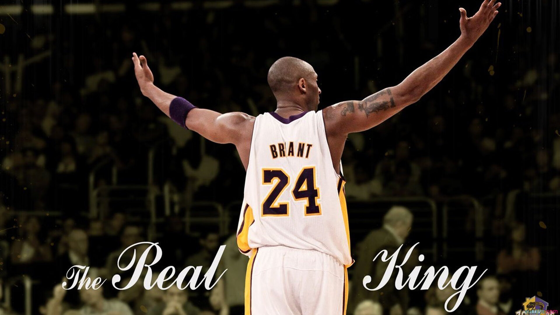 开云官网-凯尔特人战术压制奇才，布伦森进攻端无人可挡